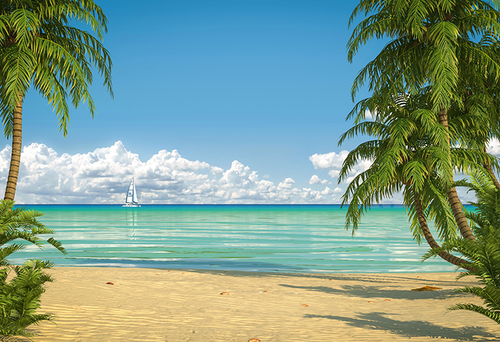 A tropical beach with palm trees and a view of a sailboat in the ocean near the horizon.
